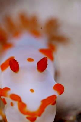 �����@����